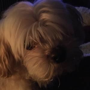 Meet your Posher, Jean